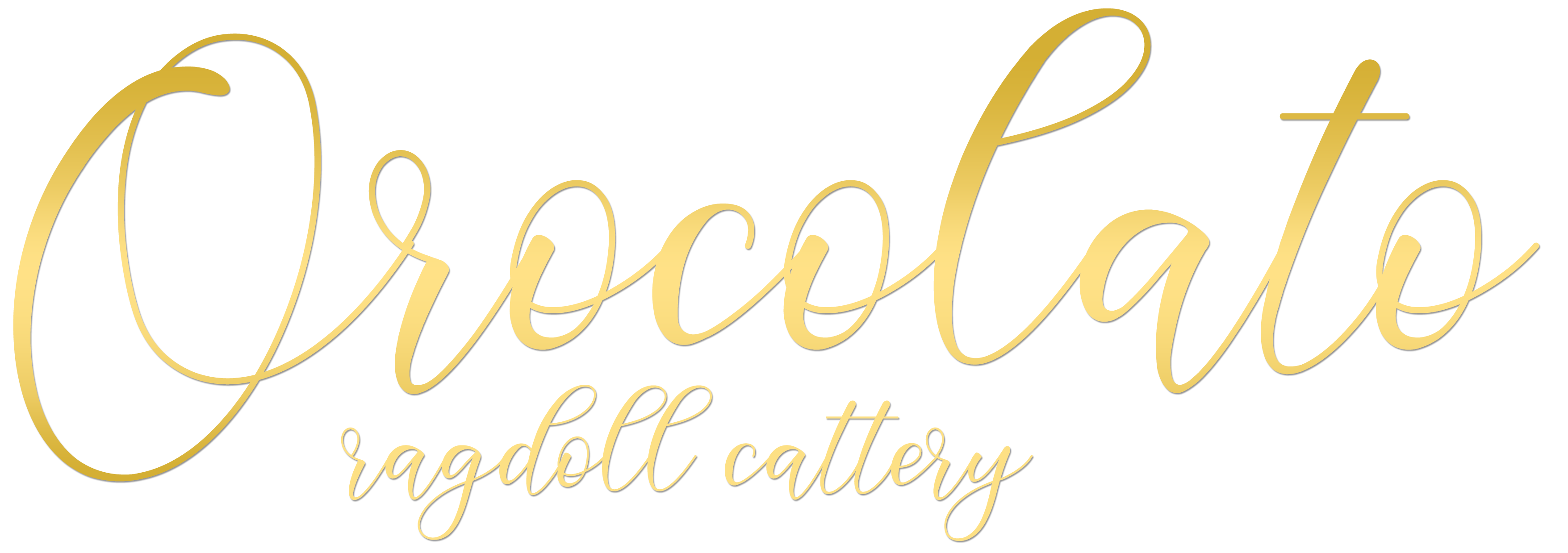 Orocolato ragdoll cattery